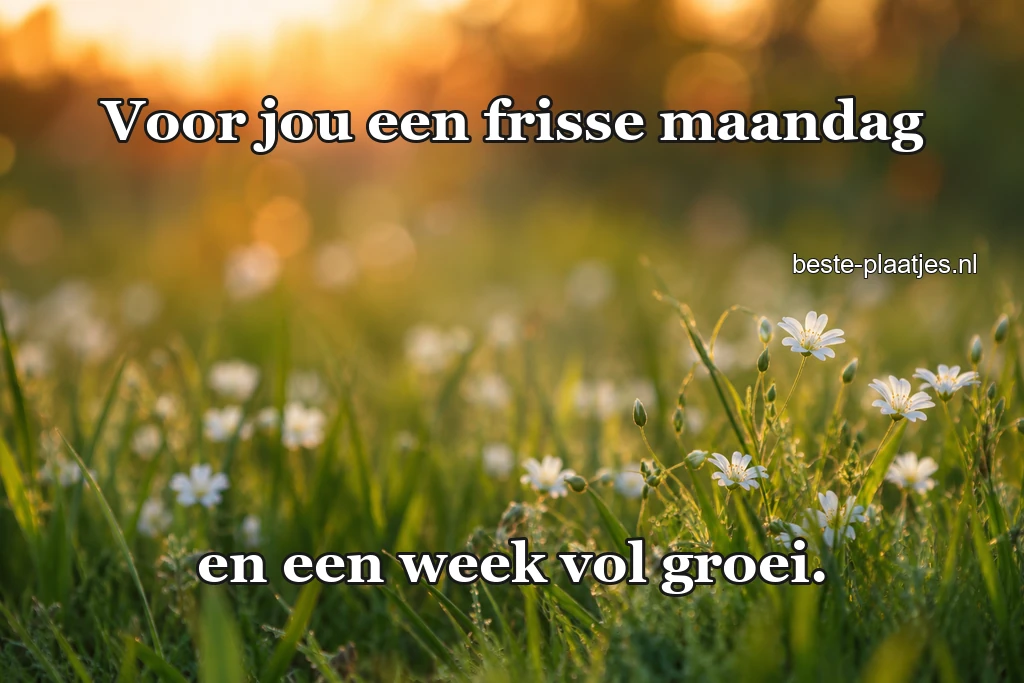Kleine witte bloemetjes steken boven zacht groen gras uit.