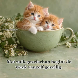 Twee pluizige kittens zitten samen in een grote groene kop.