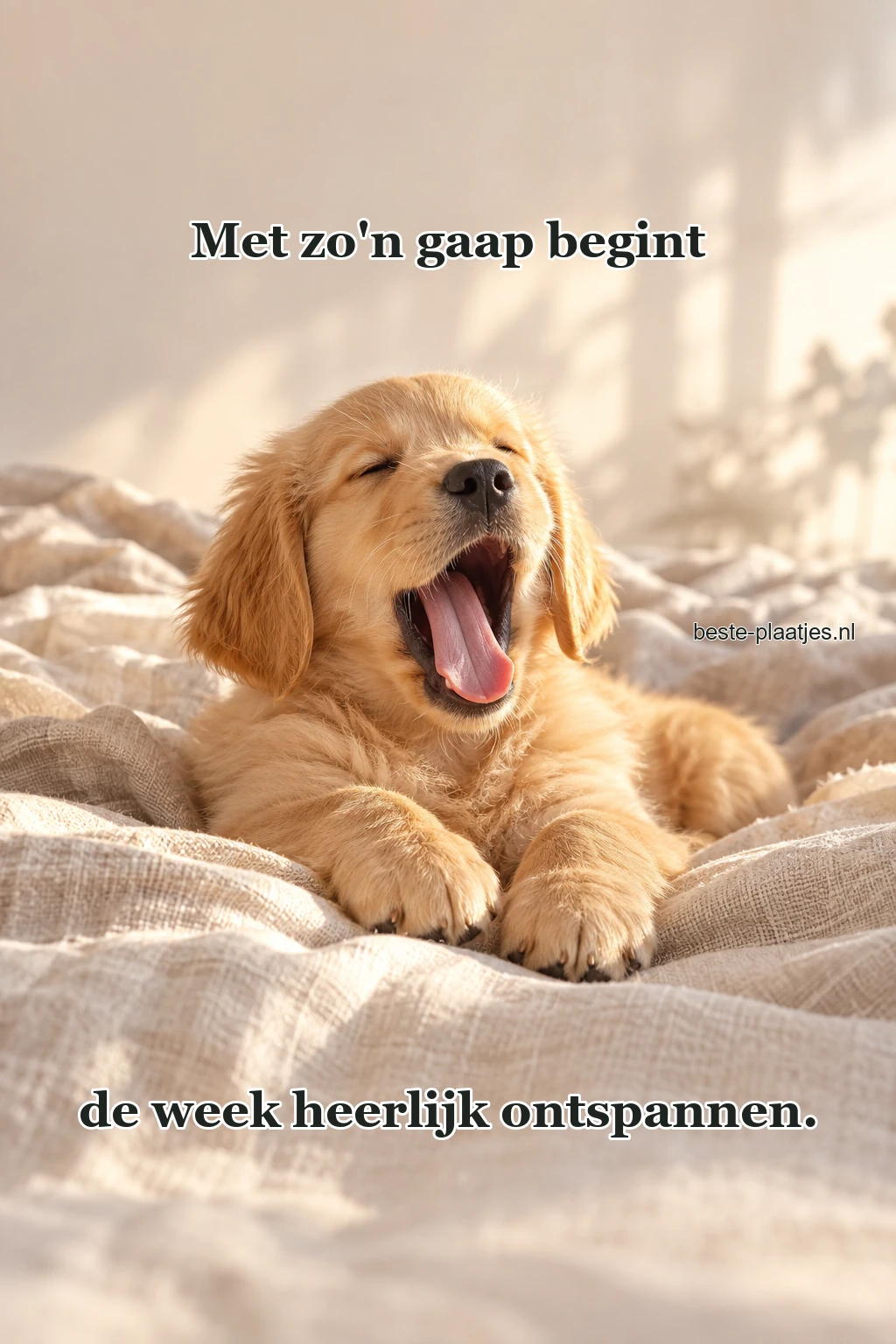 Een blonde puppy geeuwt op een zachte linnen deken.