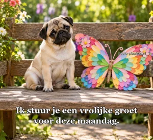 Een kleine mopshond zit naast kleurrijke vlindervleugels van papier.