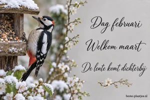 Een specht zit op een besneeuwd vogelhuisje.