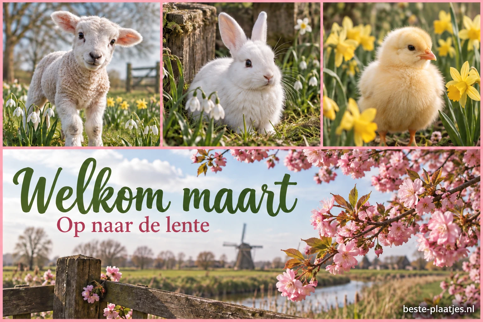 Een lammetje, een konijn en een kuiken staan tussen lentebloemen.