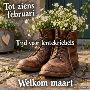 Bruine veterlaarzen zijn gevuld met kleine wilde bloemen.