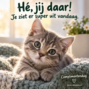 Een grijs gestreept katje kijkt op van een gebreide deken in warm raamlicht.