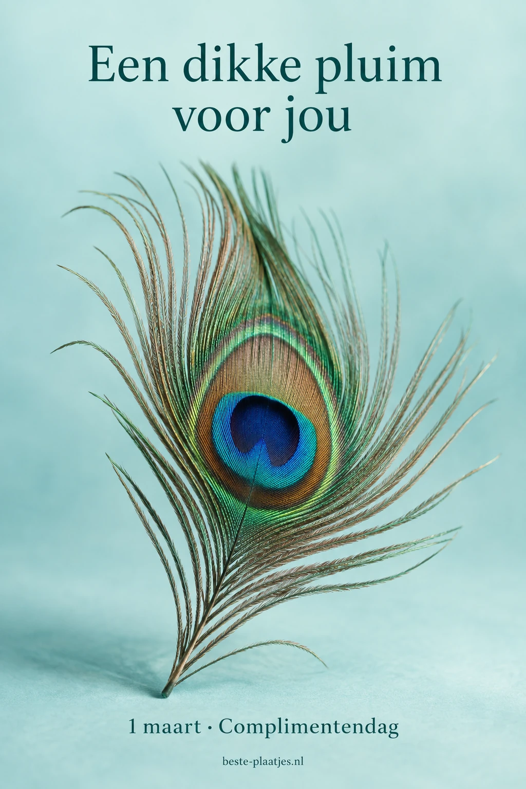 Een echte pauwenveer staat tegen een luchtige turquoise achtergrond. Een echte pauwenveer staat tegen een luchtige turquoise achtergrond.