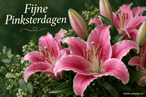 Roze lelies bloeien tegen een donkergroene achtergrond.
