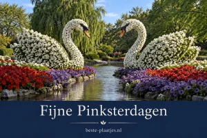 Twee witte zwanen van bloemen staan tegenover elkaar langs een tuinbeek.