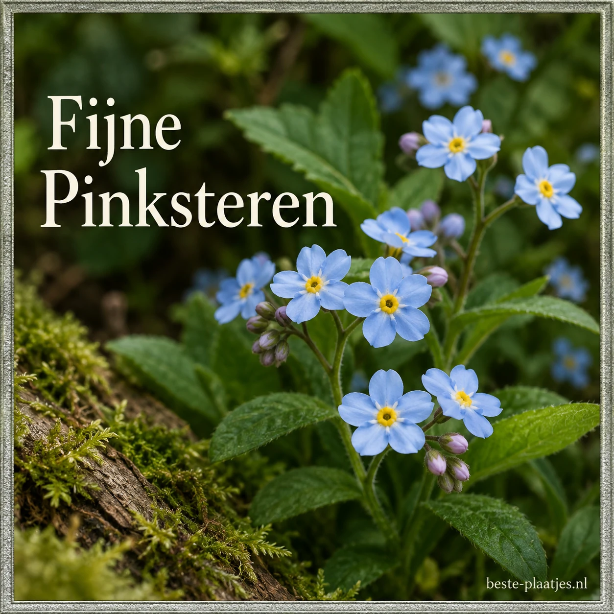 Kleine blauwe bosbloemen staan binnen een smalle zilvergroene lijst.