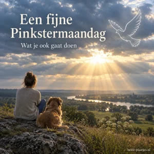 Een vrouw en haar hond kijken vanaf een heuvel naar het zonlicht tussen de wolken.