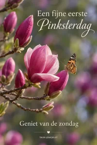 Pinksterzondag 16/5