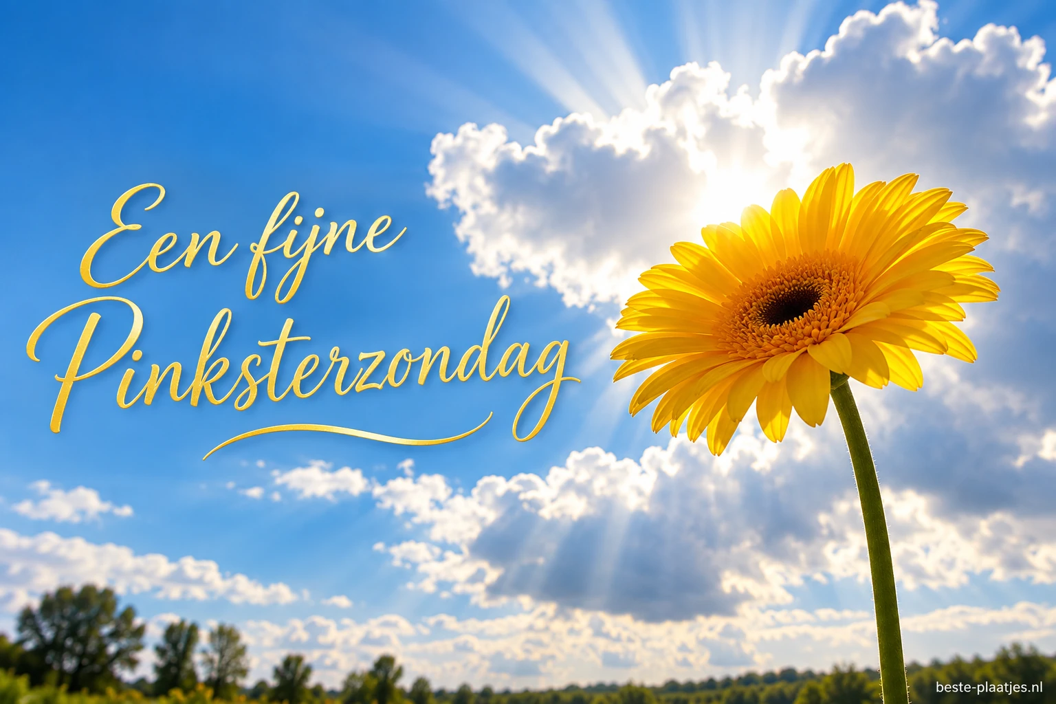 Een gele gerbera staat voor een blauwe hemel met witte wolken en zonlicht. Een gele gerbera staat voor een blauwe hemel met witte wolken en zonlicht.