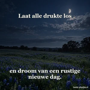 Een veld met blauwe bloemen ligt stil onder de avondmaan.