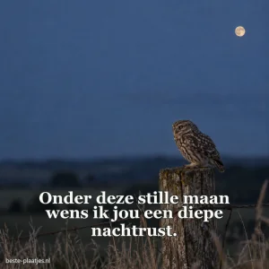 Een uil rust op een oude weidepaal onder de maan.