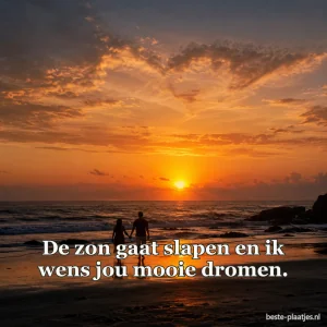 Twee mensen staan hand in hand bij zonsondergang op het strand.