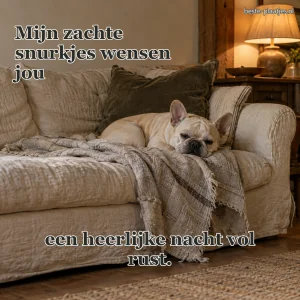 Een Franse buldog ligt op een linnen bankkleed.