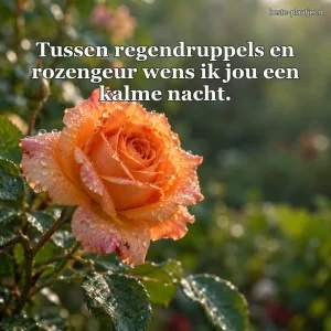 Een oranje tuinroos met regendruppels bloeit tussen bladeren.