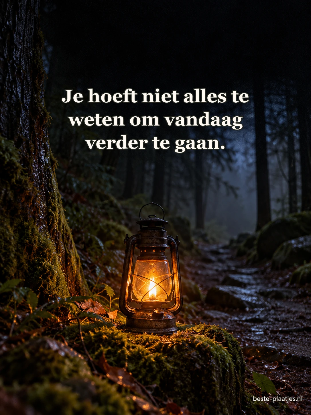 Een brandende stormlantaarn staat op mos langs een donker bospad.