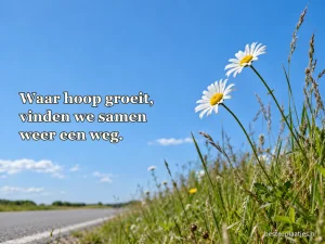 Twee madeliefjes staan in een zonnige berm.