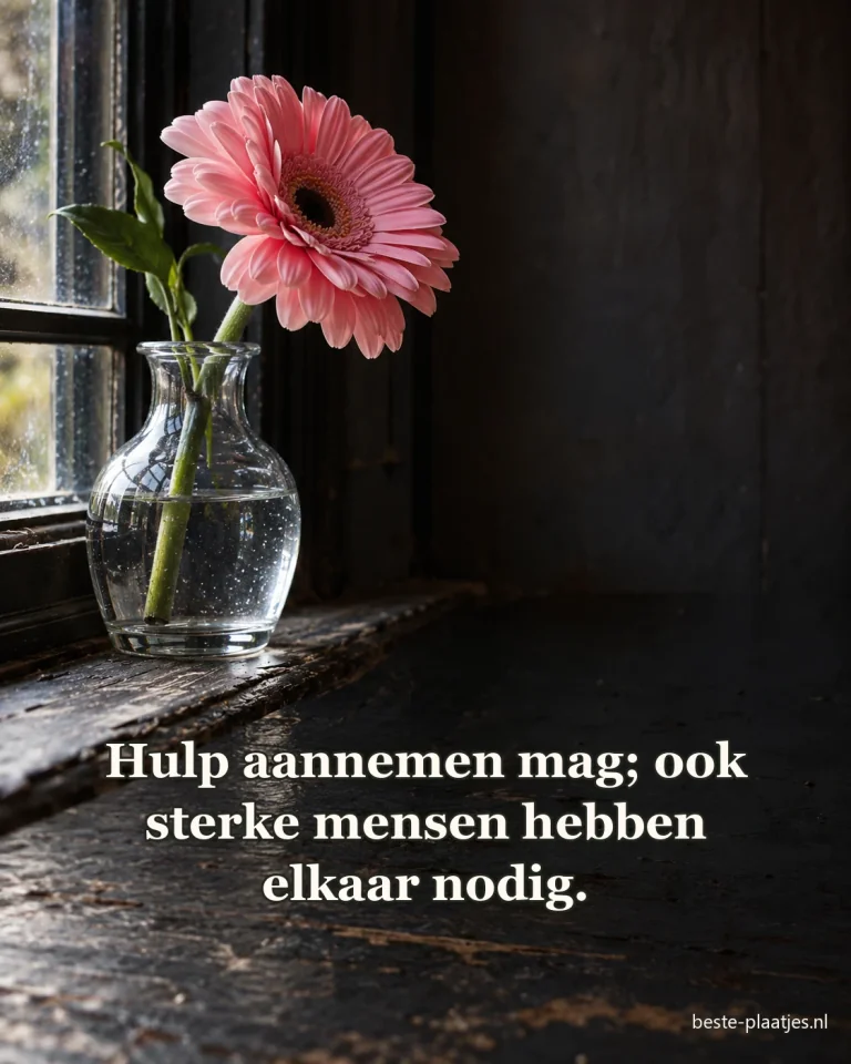 Een roze gerbera staat in een glazen vaas bij een donker raam.