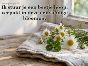 Kamillebloemen en een klavertje liggen op een linnen doek.