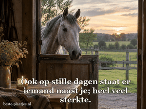 Een grijs paard kijkt vanuit een stal naar een vredig landschap.
