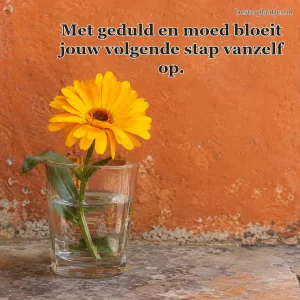 Een gele goudsbloem staat voor een terracottakleurige muur.