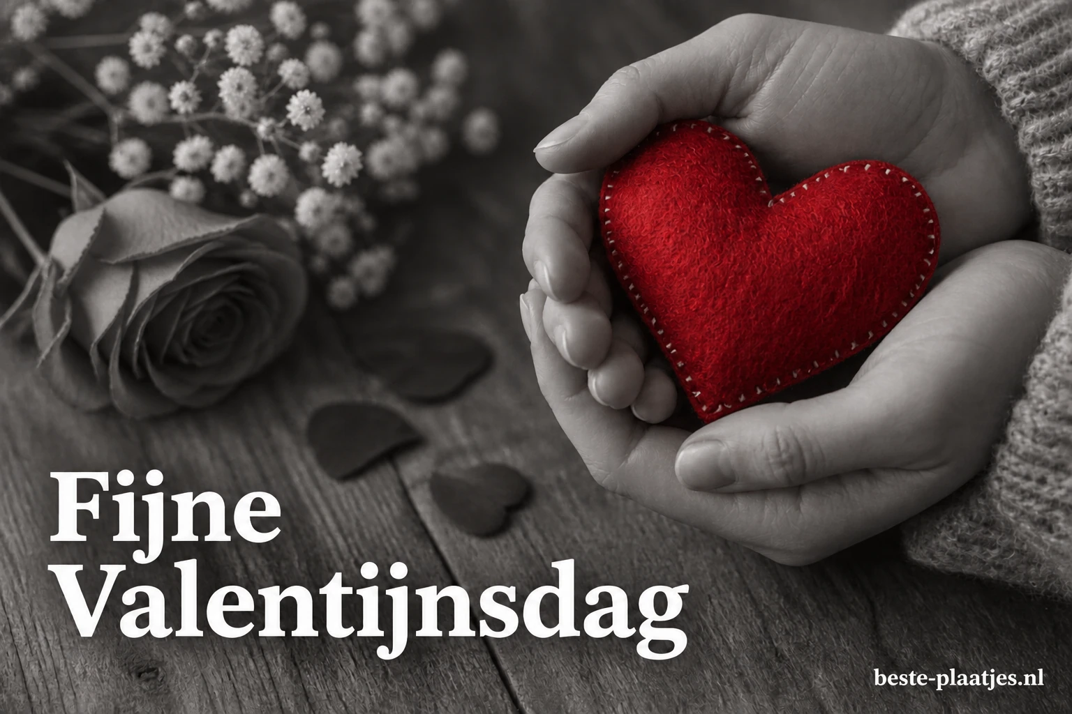 Een hand houdt een rood stoffen hart vast tegen een zwart-witte achtergrond. Een hand houdt een rood stoffen hart vast tegen een zwart-witte achtergrond.