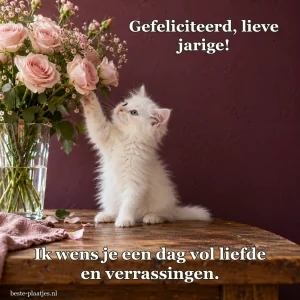 Een wit kitten reikt naar roze rozen in een glazen vaas.