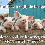 Drie jonge biggetjes kijken over een lage houten omheining.
