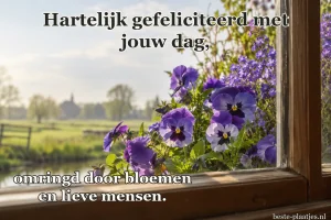 Paarse viooltjes bloeien achter een houten raamwerk.