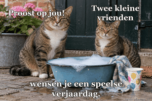 Twee katten zitten naast een blauwe teil met glinsterende zeepbellen.
