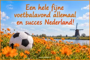 Een voetbal ligt tussen oranje veldbloemen bij een Nederlandse molen.