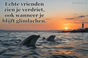 Twee dolfijnen doorbreken het zeeoppervlak in een zachte avondlucht.