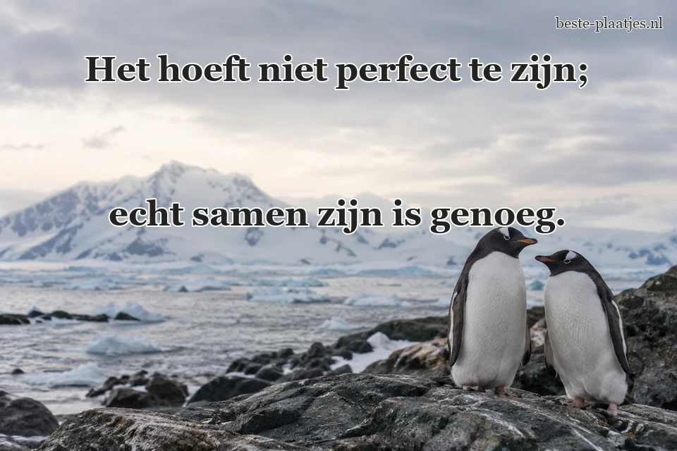 Twee pinguïns staan bij elkaar aan een koude rotskust.