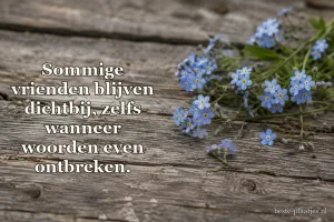 Vergeet-mij-nietjes liggen op verweerde houten planken.