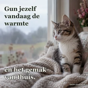 Een jonge kat zit in een deken bij een raam.
