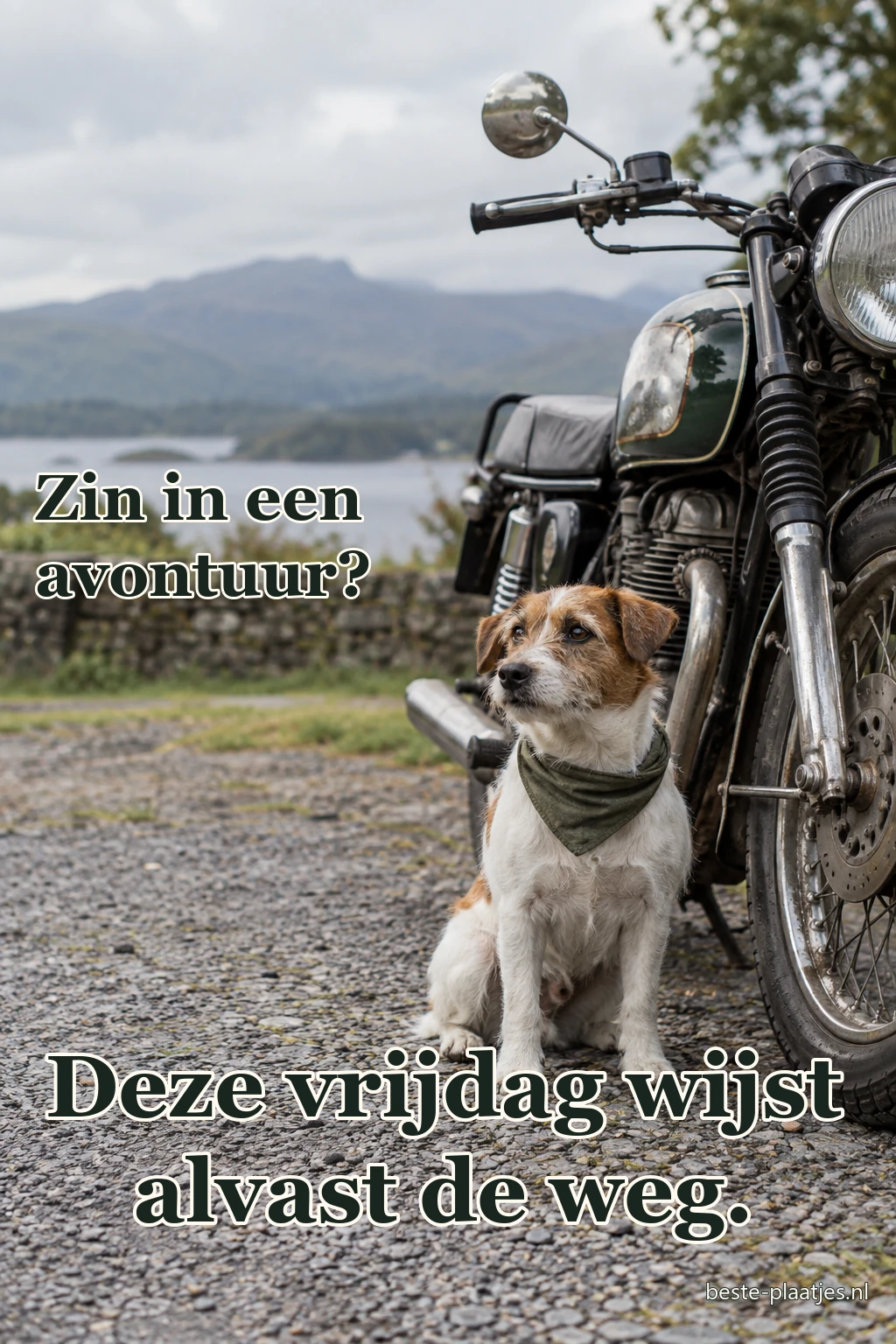 Een kleine hond zit naast een geparkeerde motorfiets.