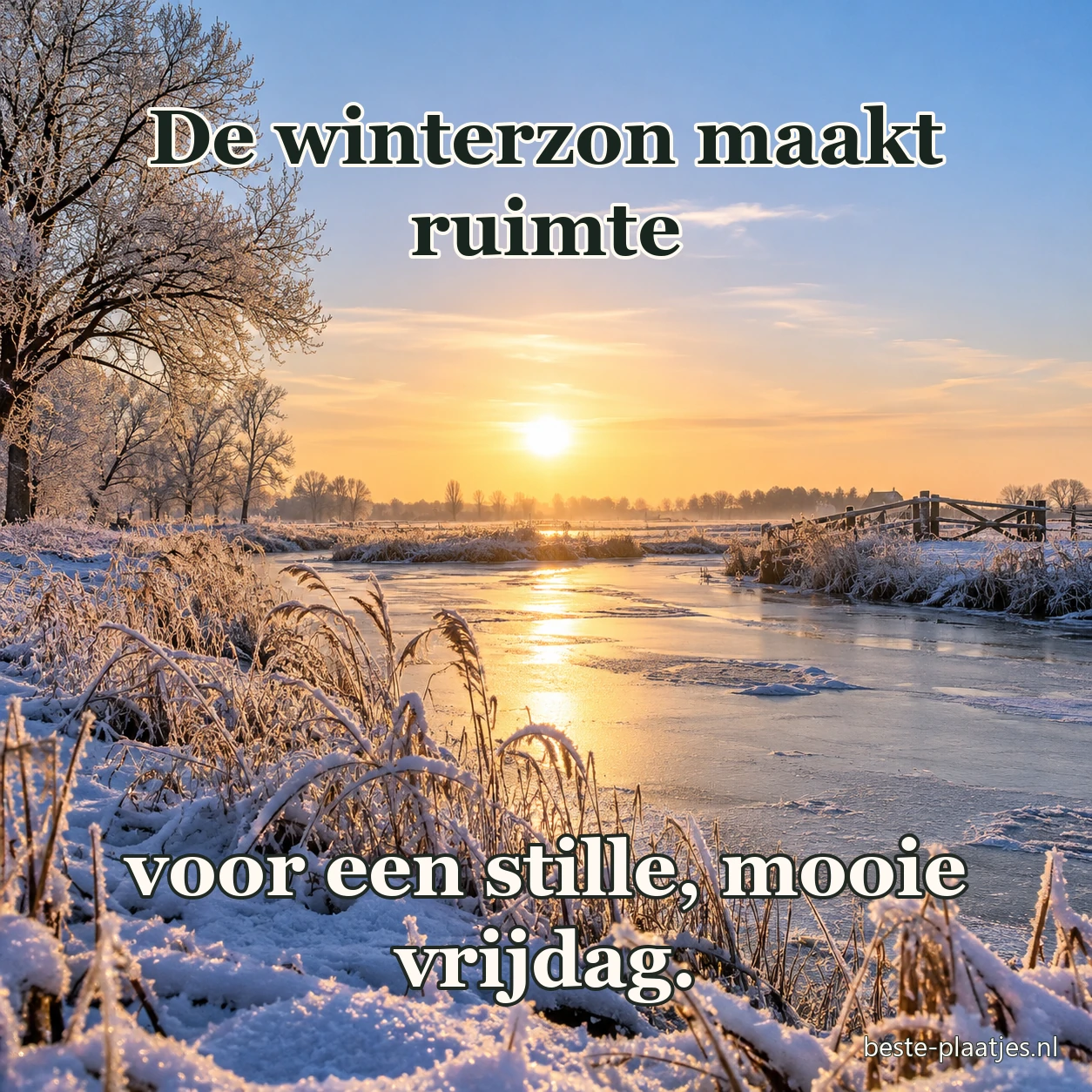 Winterzon schijnt boven een rivier en rijp op de takken.