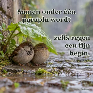 Twee vogels schuilen samen onder een blad tijdens de regen.