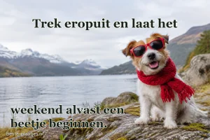 Een hond met rode sjaal en zonnebril zit bij een bergmeer.