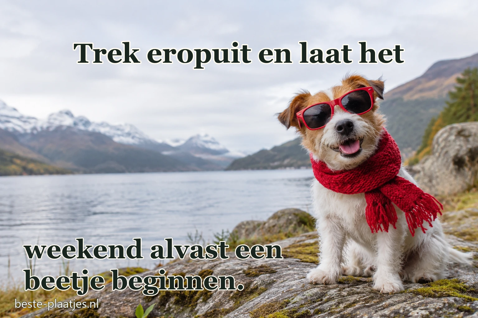 Een hond met rode sjaal en zonnebril zit bij een bergmeer.