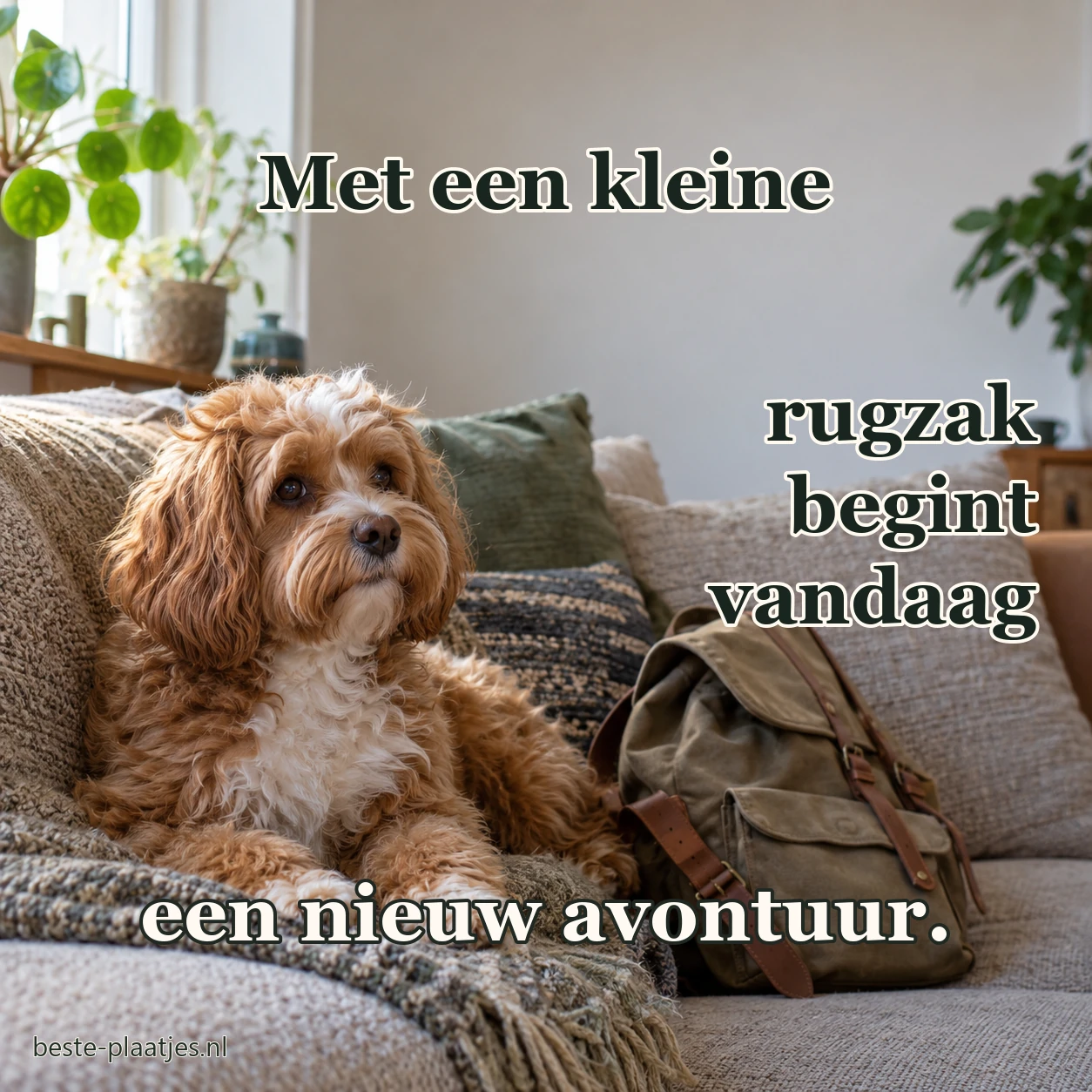 Een klein hondje zit naast een rugzak in de woonkamer.