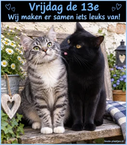 Een grijze en een zwarte kat naast elkaar geven vrijdag de 13e een vrolijke, gezamenlijke sfeer.