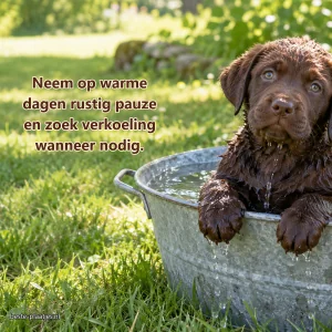 Een natte bruine labradorpup zit in een zinken teil in de schaduw.