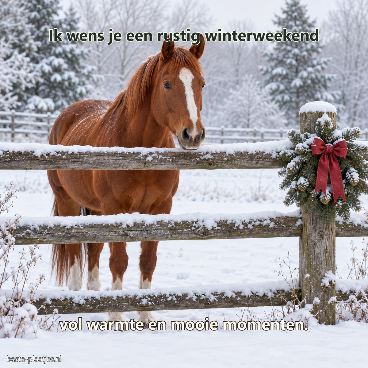 Een kastanjebruin paard staat achter een besneeuwd hek met een eenvoudige kerstkrans.