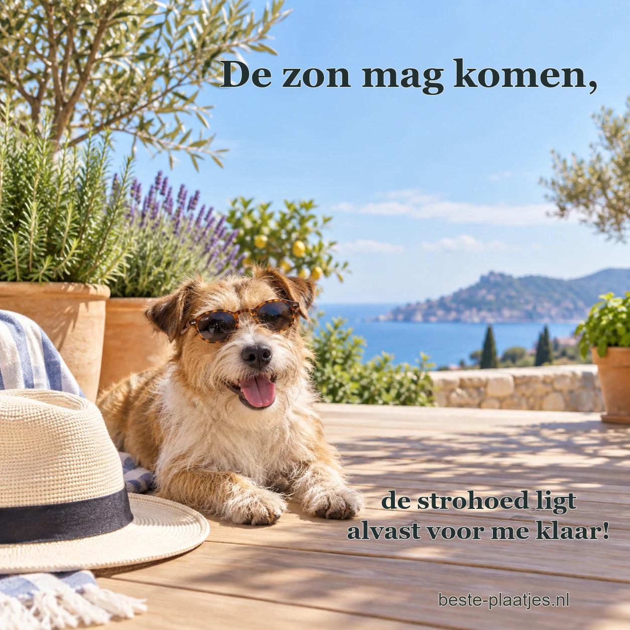 Een ruwharige terriër ligt naast een strohoed op een zonnig terras aan zee. Een ruwharige terriër ligt naast een strohoed op een zonnig terras aan zee.