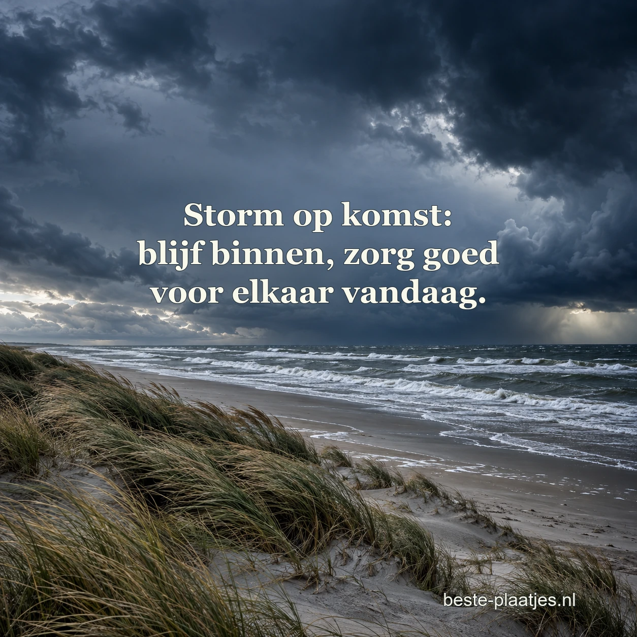 Donkere wolken hangen boven een onstuimig strand met wuivend duingras. Donkere wolken hangen boven een onstuimig strand met wuivend duingras.