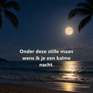 Een volle maan weerspiegelt tussen palmbomen op een rustige zee.