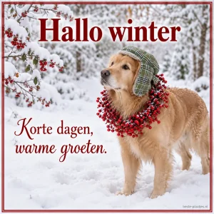 Een hond in een besneeuwd bos brengt een warme wintergroet.
