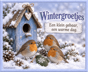 Drie vogeltjes bij een blauw vogelhuisje zorgen voor een knusse wintergroet.